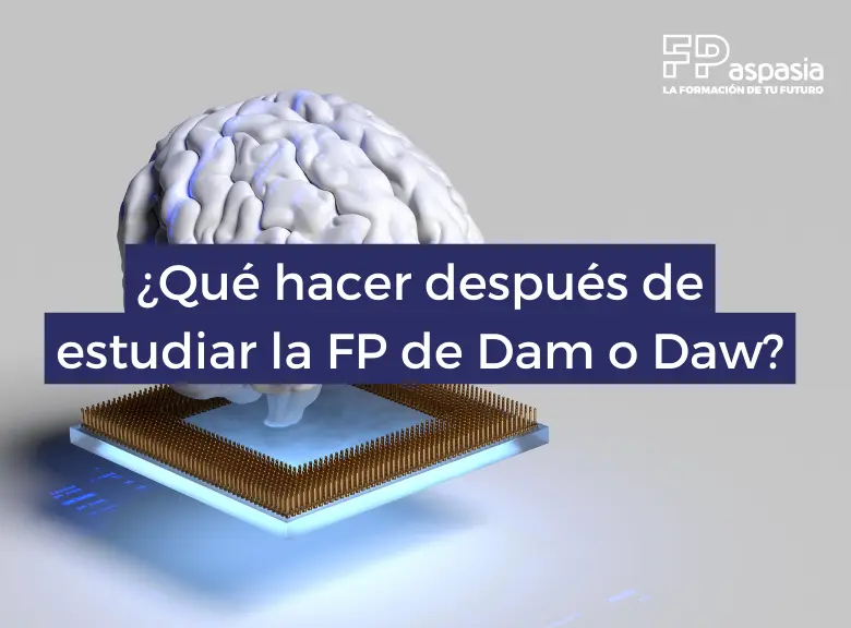 En qué especializarte después de la FP de Dam o Daw
