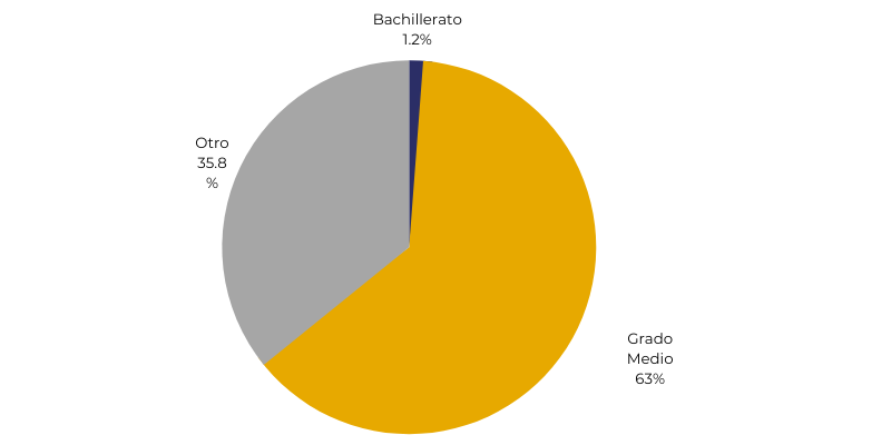 gráfico con las alternativas al terminar fp basica