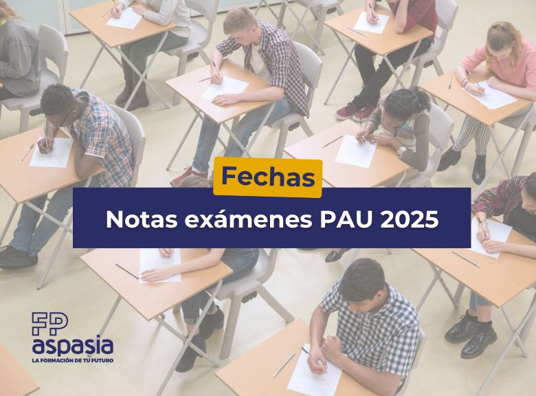 Notas de la PAU 2025: cuándo salen y cómo consultarlas